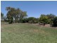 11 Rivergums Drive, Moama NSW 2731