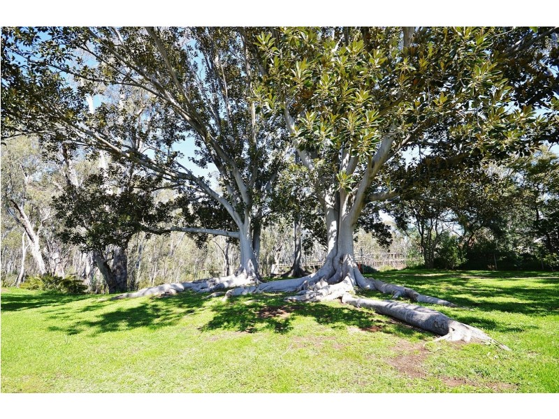 4/6 Berry Street, Moama NSW 2731