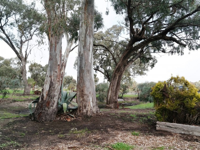 1350 Picola – Barmah Road, Barmah VIC 3639