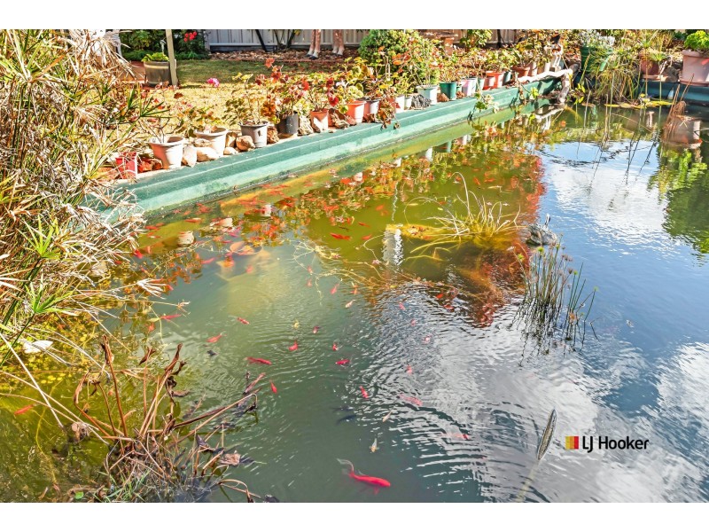 8 McBride Place, Echuca VIC 3564