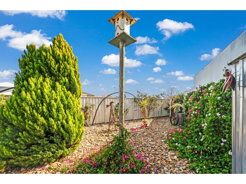 8 McBride Place, Echuca VIC 3564