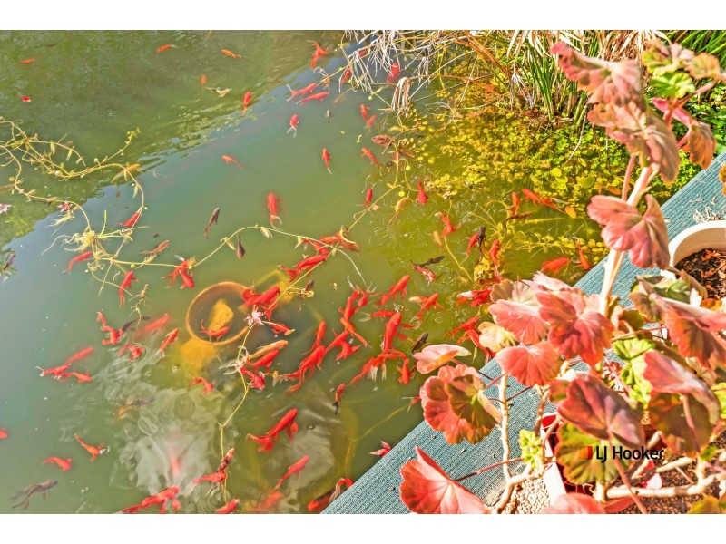 8 McBride Place, Echuca VIC 3564