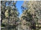 1 Dolan Street, Mathoura NSW 2710