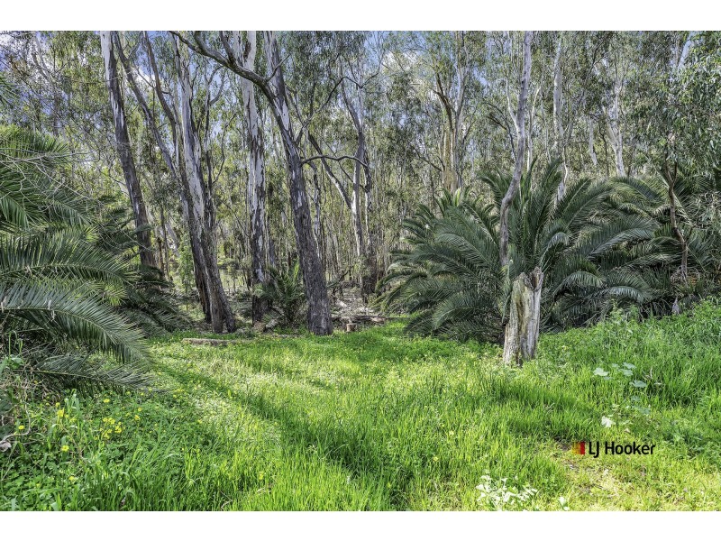 62 Carter Street, Mathoura NSW 2710