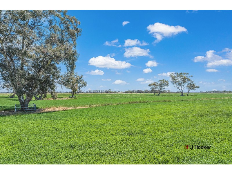 459 Echuca West School Road, Echuca VIC 3564