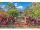 1485 Mount Terrick Road, Roslynmead, Echuca VIC 3564