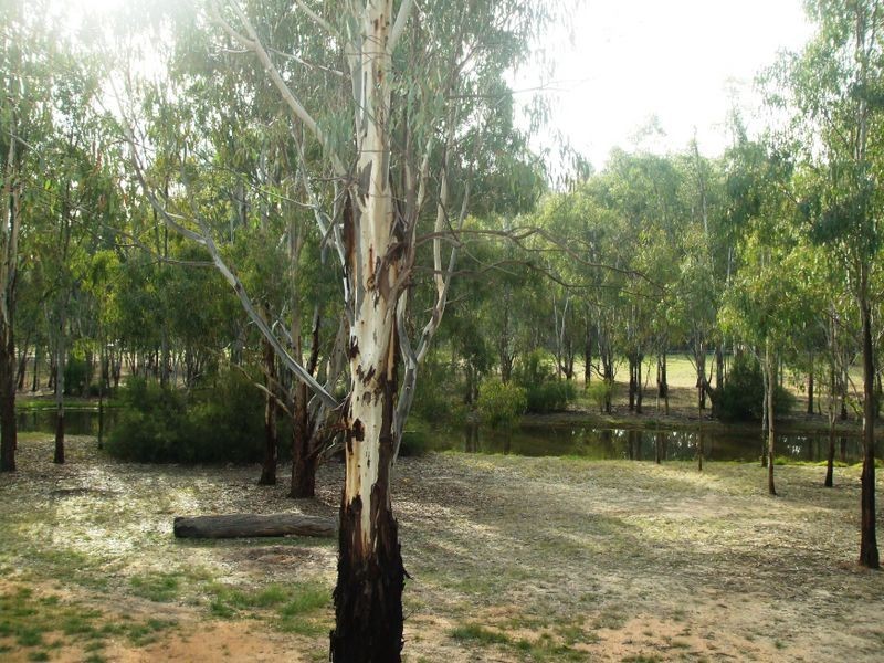 147 River Avenue, Echuca VIC 3564