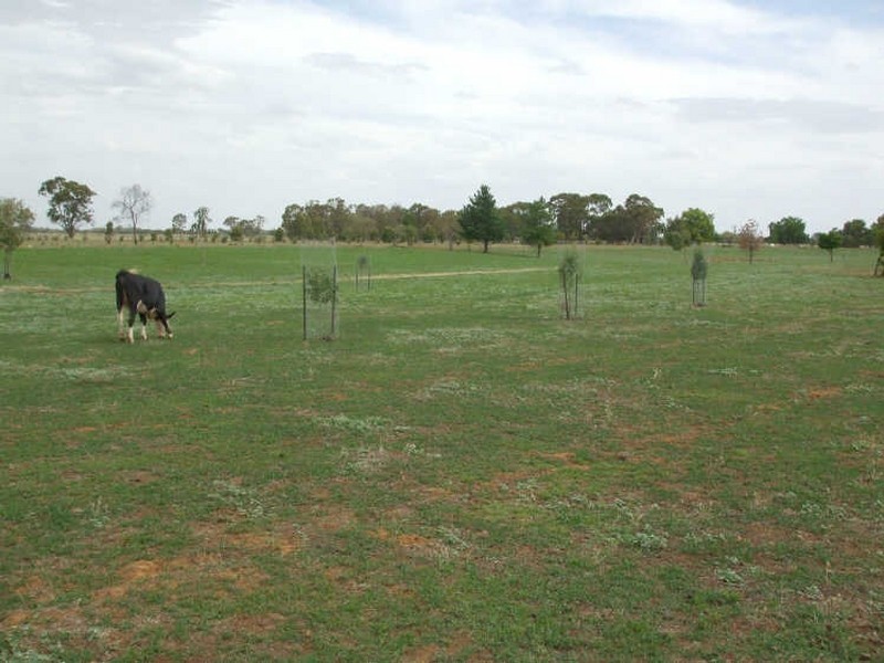 Lot 2 Sanctuary Road, Koyuga VIC 3622