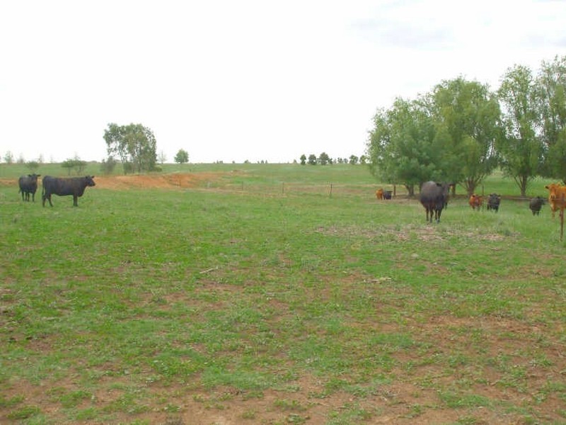 Lot 2 Sanctuary Road, Koyuga VIC 3622