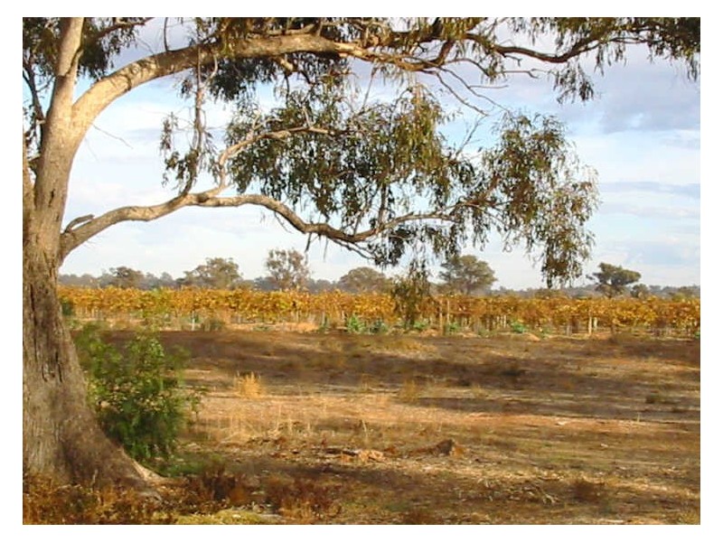 Lot 25 Hollara Drive, Moama NSW 2731