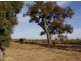 Lot 25 Hollara Drive, Moama NSW 2731