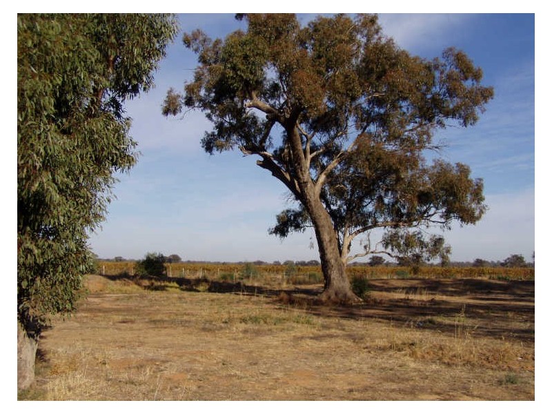 Lot 25 Hollara Drive, Moama NSW 2731