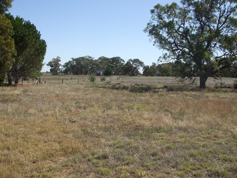 1231 Terricks Road, Echuca VIC 3564