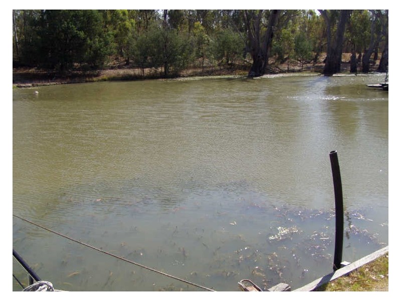 Deep Creek Marina/Lot 23 Perricoota Road, Moama NSW 2731
