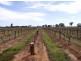 5 6 & 9/DP 28551 Perricoota, Moama NSW 2731