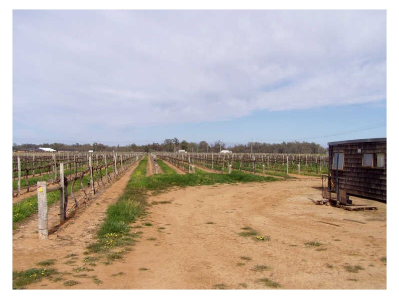 5 6 & 9/DP 28551 Perricoota, Moama NSW 2731