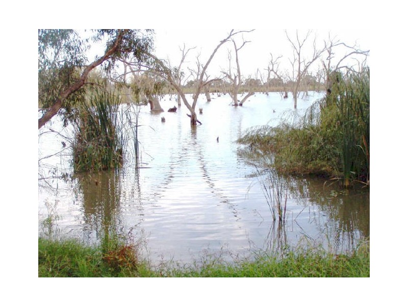 146 Fracaro Road, Gunbower VIC 3566