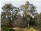 45 Moama Street, Echuca VIC 3564