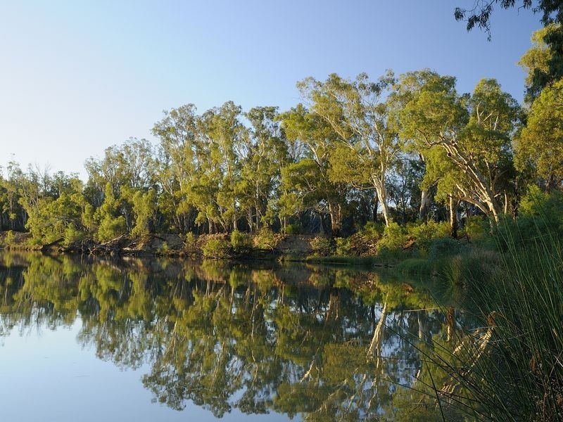 154 Wharparilla Drive, Echuca VIC 3564