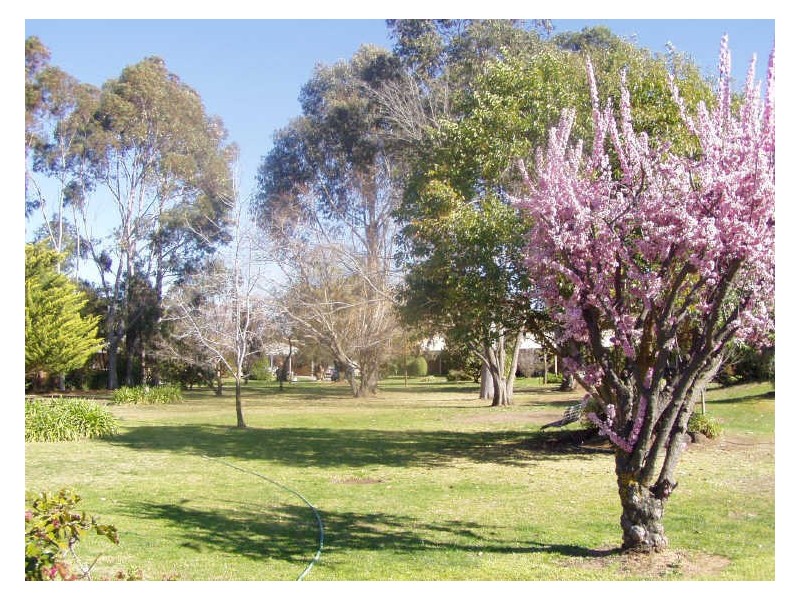 Allen Court Retirement Village/61 Regent Street, Moama NSW 2731