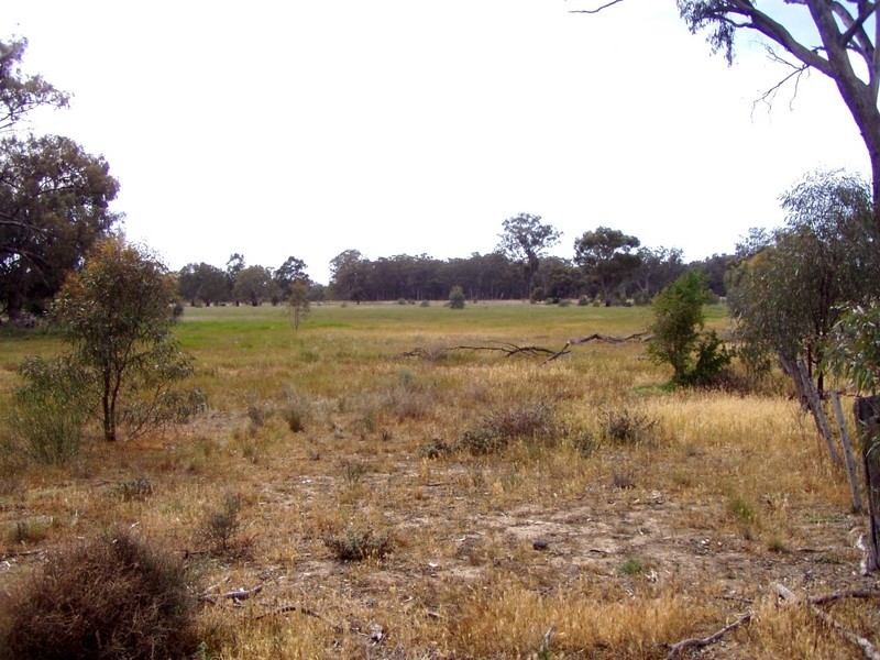 Kiely Road, Moama NSW 2731