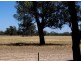Lot 120 Barnes Road, Moama NSW 2731