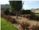 15 Cabernet Drive, Moama NSW 2731