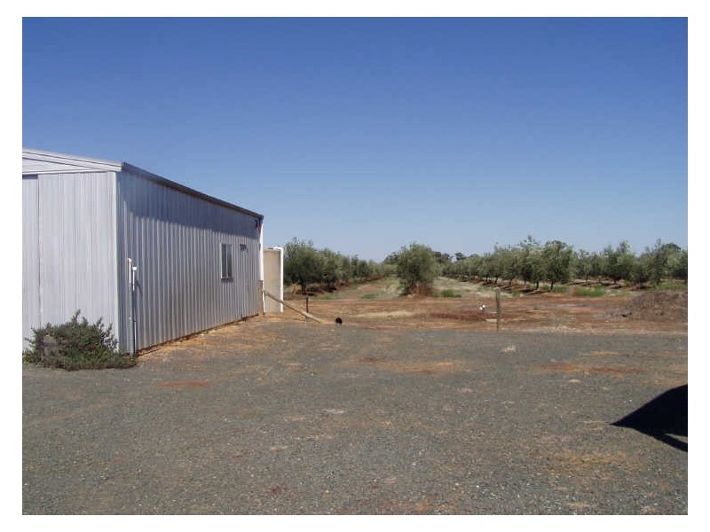 “The Grove”/231 Farley Road, Echuca VIC 3564