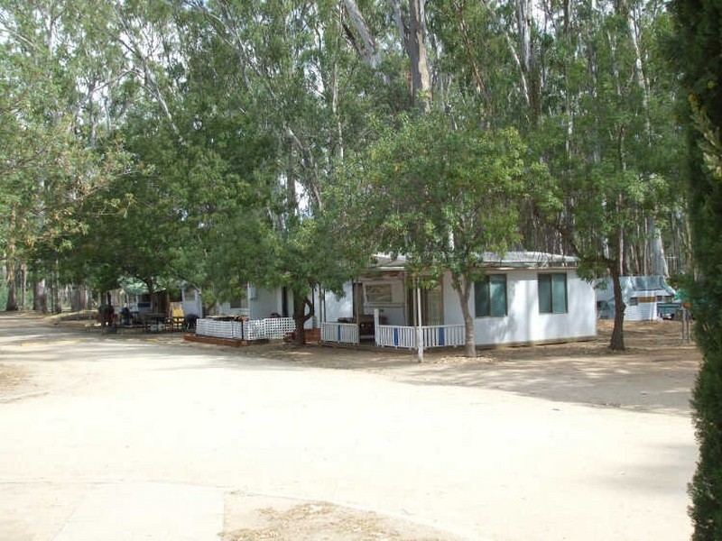 Murray Street, Barmah VIC 3639