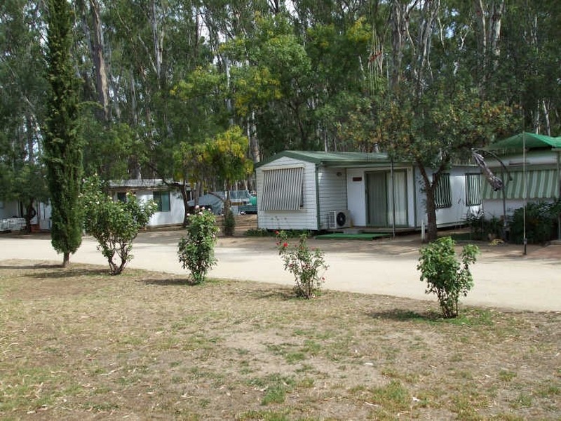 Murray Street, Barmah VIC 3639