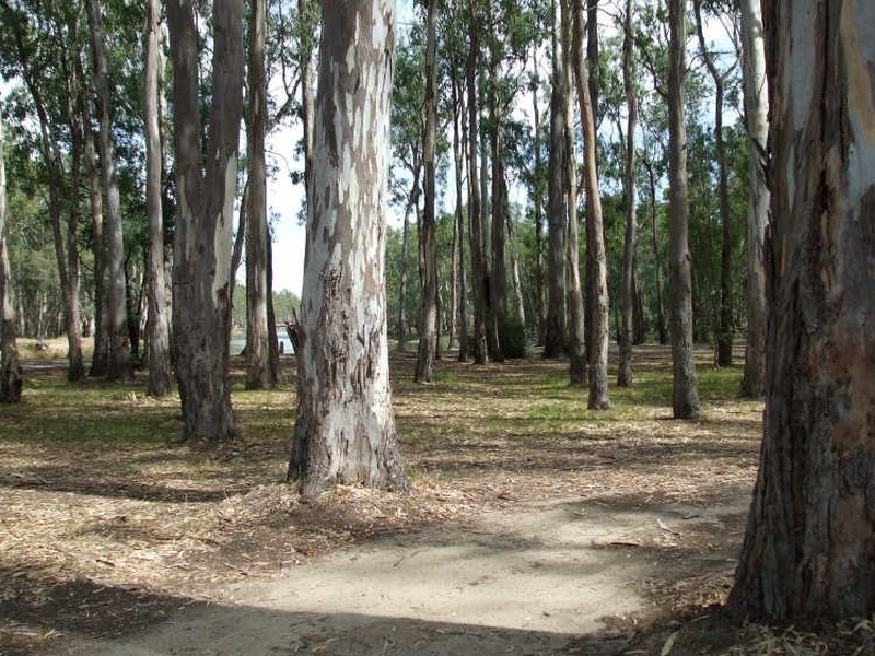 Murray Street, Barmah VIC 3639