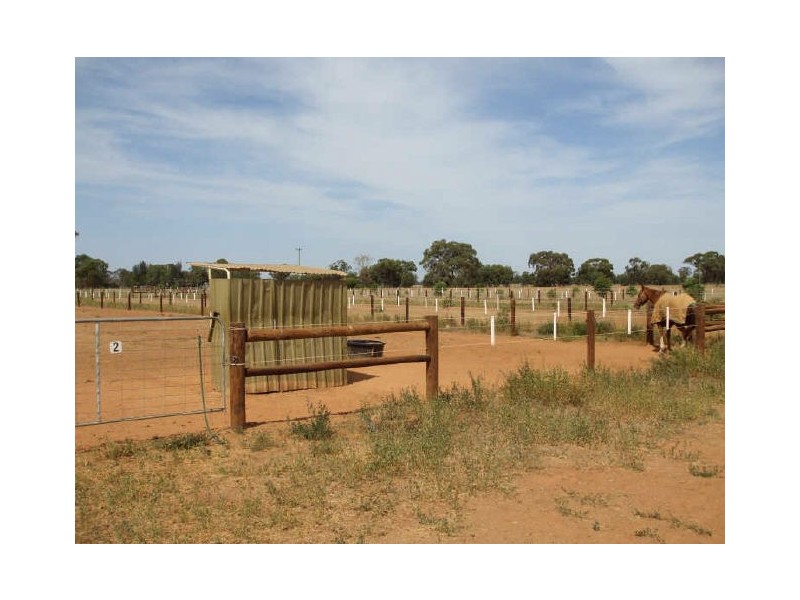 Lot 218 Tandarra Road, Moama NSW 2731