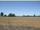 Lots 112, 114/& 71 Cobb Highway, Moama NSW 2731