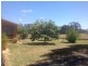133 Pianta Road, Echuca VIC 3564