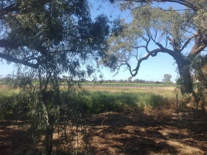 133 Pianta Road, Echuca VIC 3564