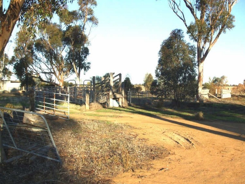 454 Centre Road, Moama NSW 2731