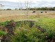 1151 Murray Valley Highway, Echuca VIC 3564