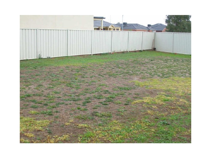 24 Shetland Drive, Moama NSW 2731