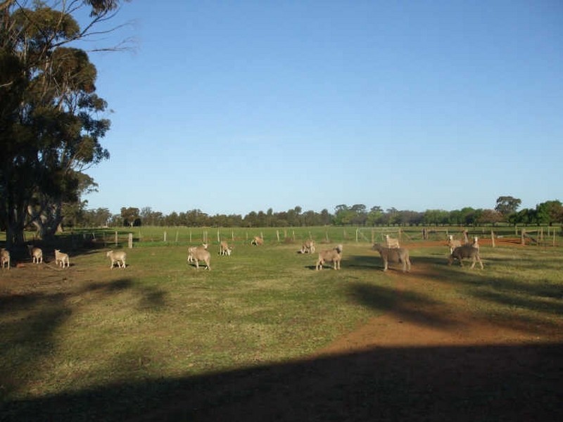 Lot 1/DP1011322 Thyra Road, Moama NSW 2731