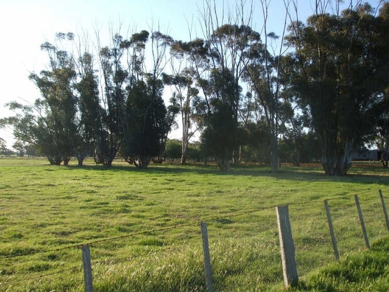 Lot 1/DP1011322 Thyra Road, Moama NSW 2731