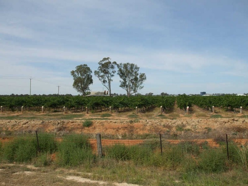 Lots 5,6,9 Perricoota Road, ” Minninya Vineyards “, Moama NSW 2731