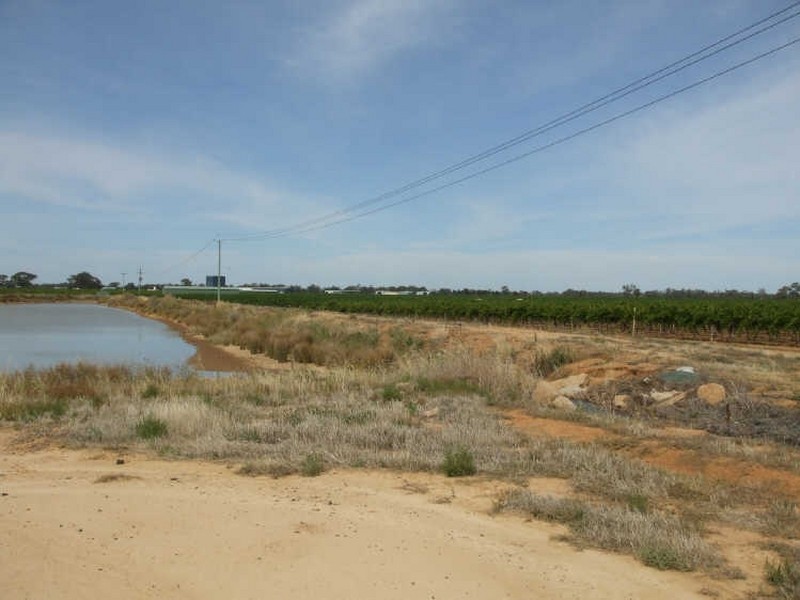Lots 5,6,9 Perricoota Road, ” Minninya Vineyards “, Moama NSW 2731