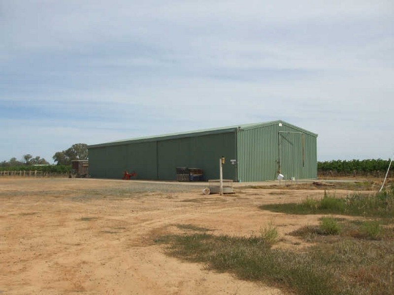 Lots 5,6,9 Perricoota Road, ” Minninya Vineyards “, Moama NSW 2731