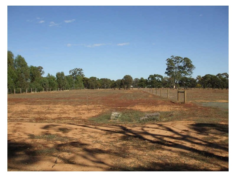 Lots 1 – 5 Morton Street, Rochester VIC 3561