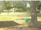 29 Mew Lane, Bamawm VIC 3561