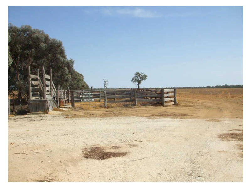 9 Mile Cobb Highway, Moama NSW 2731