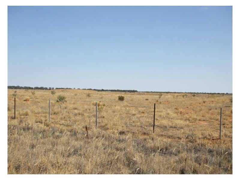 9 Mile Cobb Highway, Moama NSW 2731