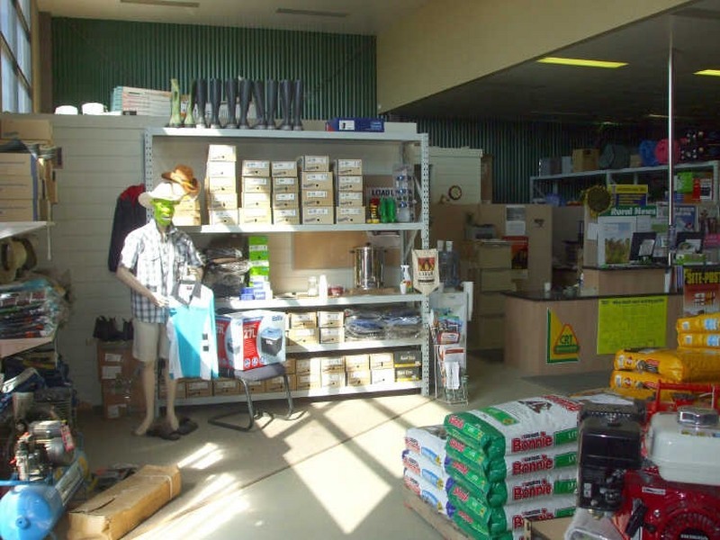 3-5 Neill Street, Moama NSW 2731