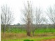 Lot 4 Myall Way DP 1108133, Moama NSW 2731