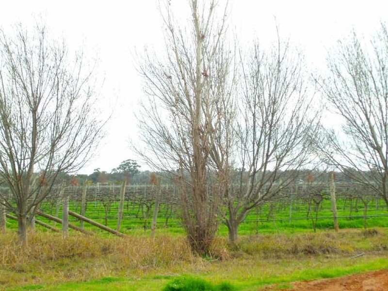 Lot 4 Myall Way DP 1108133, Moama NSW 2731